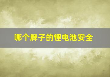 哪个牌子的锂电池安全