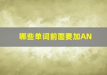 哪些单词前面要加AN