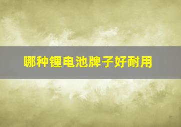 哪种锂电池牌子好耐用