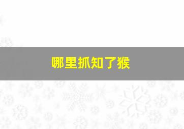 哪里抓知了猴