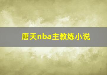 唐天nba主教练小说