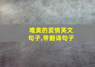 唯美的爱情英文句子,带翻译句子