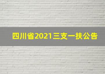 四川省2021三支一扶公告