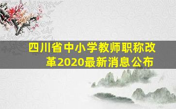 四川省中小学教师职称改革2020最新消息公布