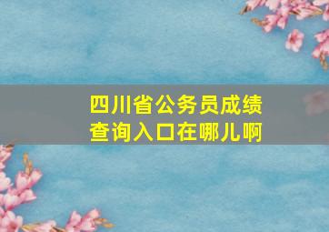 四川省公务员成绩查询入口在哪儿啊