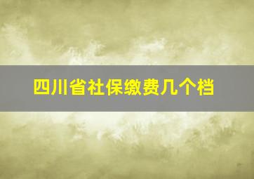 四川省社保缴费几个档