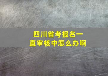 四川省考报名一直审核中怎么办啊