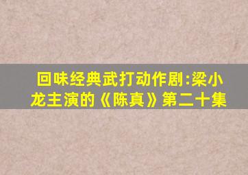 回味经典武打动作剧:梁小龙主演的《陈真》第二十集