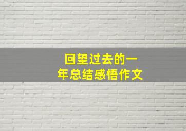 回望过去的一年总结感悟作文