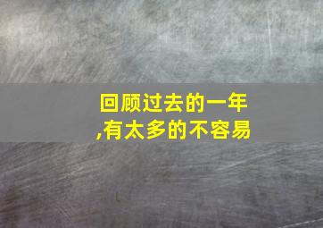 回顾过去的一年,有太多的不容易