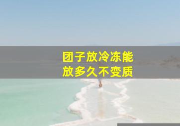 团子放冷冻能放多久不变质