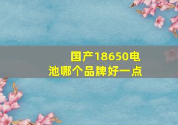 国产18650电池哪个品牌好一点