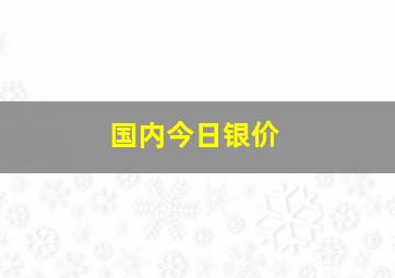 国内今日银价