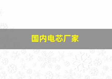 国内电芯厂家