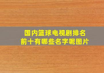 国内篮球电视剧排名前十有哪些名字呢图片