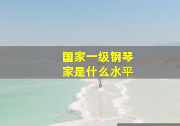 国家一级钢琴家是什么水平