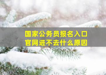 国家公务员报名入口官网进不去什么原因