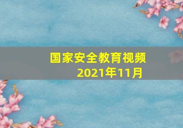 国家安全教育视频2021年11月