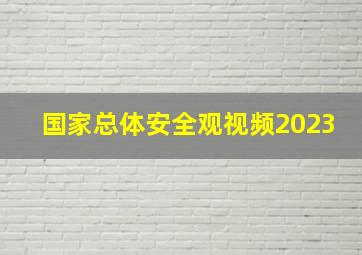 国家总体安全观视频2023