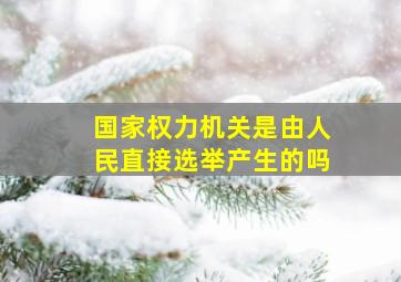 国家权力机关是由人民直接选举产生的吗