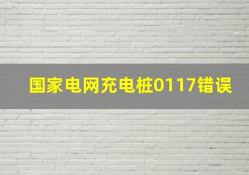 国家电网充电桩0117错误