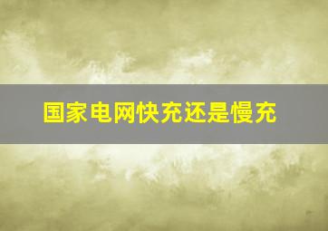 国家电网快充还是慢充