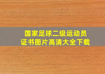 国家足球二级运动员证书图片高清大全下载