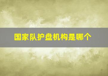 国家队护盘机构是哪个