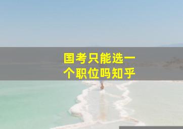 国考只能选一个职位吗知乎