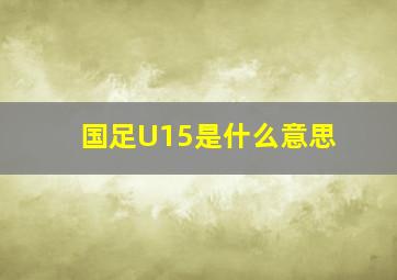 国足U15是什么意思