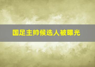 国足主帅候选人被曝光