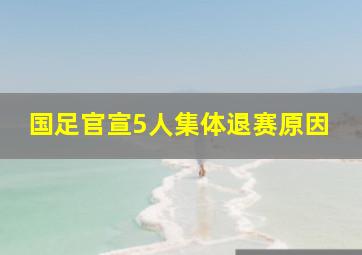 国足官宣5人集体退赛原因