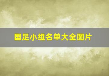 国足小组名单大全图片