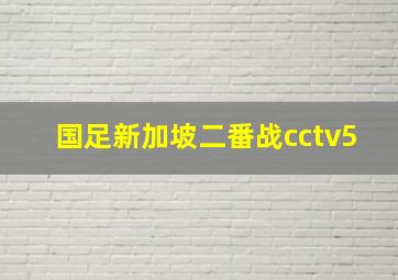 国足新加坡二番战cctv5