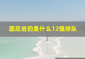 国足进的是什么12强球队