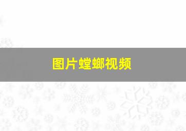 图片螳螂视频