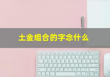 土金组合的字念什么