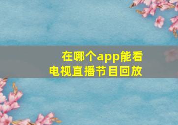 在哪个app能看电视直播节目回放