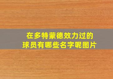 在多特蒙德效力过的球员有哪些名字呢图片