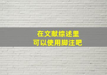 在文献综述里可以使用脚注吧