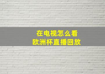 在电视怎么看欧洲杯直播回放