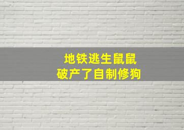 地铁逃生鼠鼠破产了自制修狗