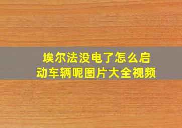 埃尔法没电了怎么启动车辆呢图片大全视频