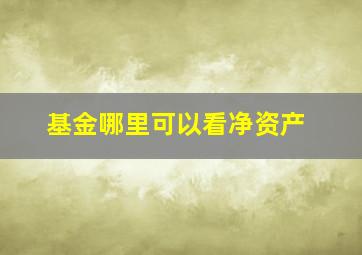 基金哪里可以看净资产