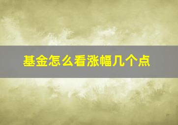 基金怎么看涨幅几个点