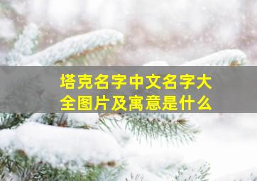 塔克名字中文名字大全图片及寓意是什么