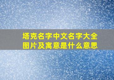 塔克名字中文名字大全图片及寓意是什么意思