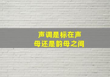 声调是标在声母还是韵母之间