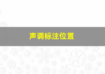 声调标注位置