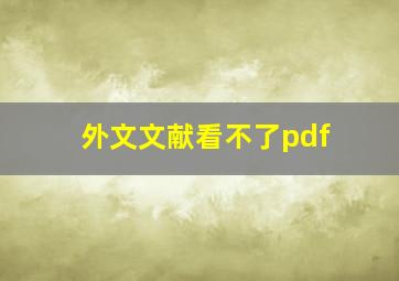 外文文献看不了pdf